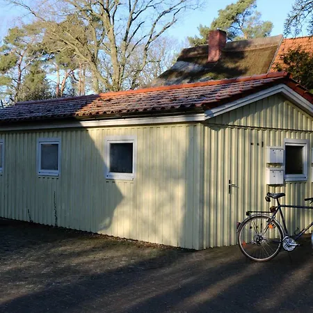 Appartamento Helle Maisonettewohnung Im Buchenpark Prerow