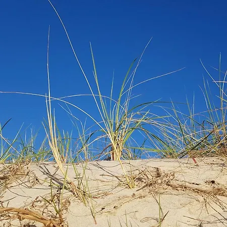 Helle Maisonettewohnung Im Buchenpark Appartamento *