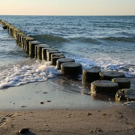 Helle Maisonettewohnung Im Buchenpark *