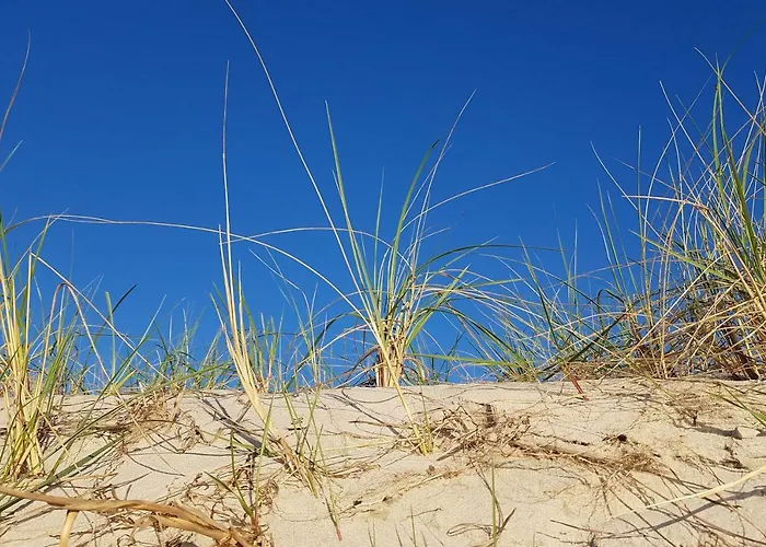 Helle Maisonettewohnung Im Buchenpark דירה *
