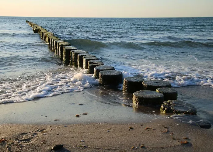 Helle Maisonettewohnung Im Buchenpark *